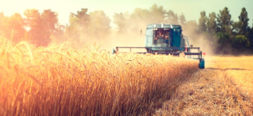 Презентация 4